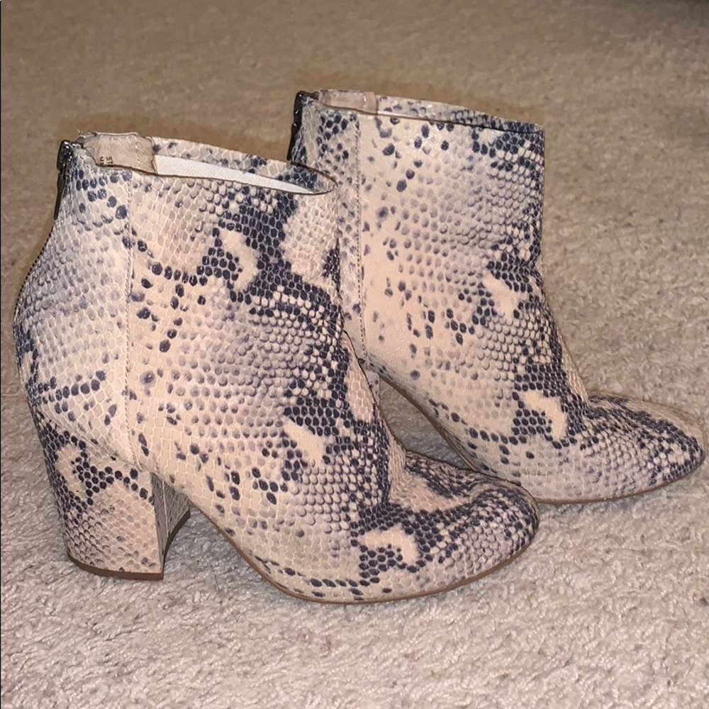 Steve Madden Snakeskin Booties